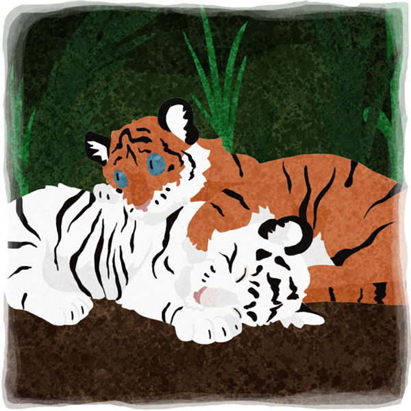 An illustration of two tiger cubs snuggling.